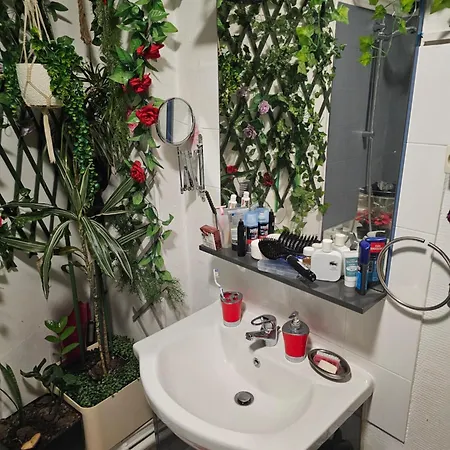50 M2